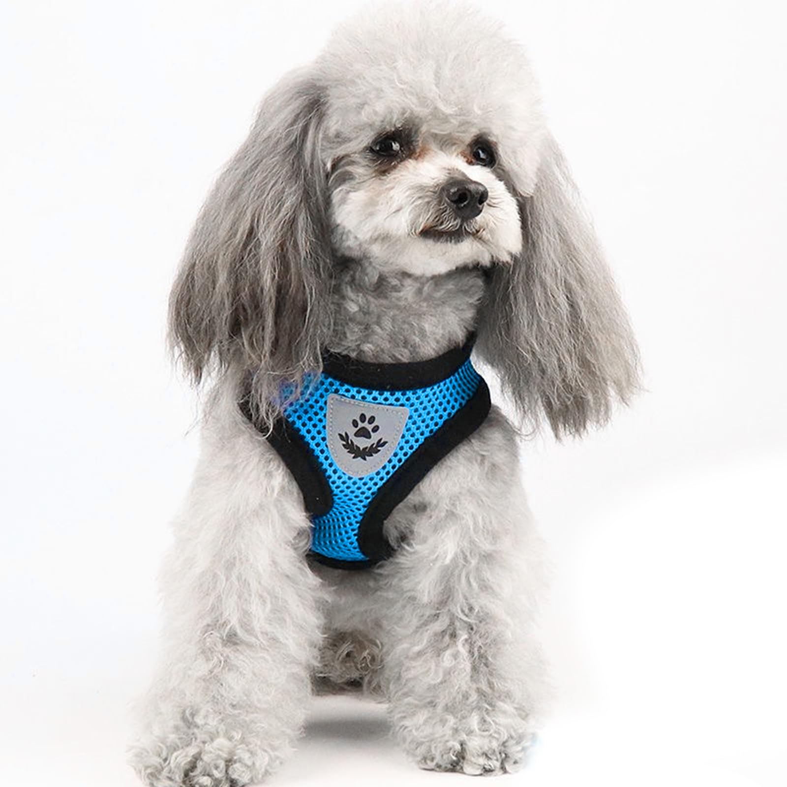 shudyear Summer cat Chest Harness and Leash, Anti-Escape Adjustable Soft mesh cat Leash and Chest Harness Set for All Types of Cats cat Vests(Size XL, Sky Blue)