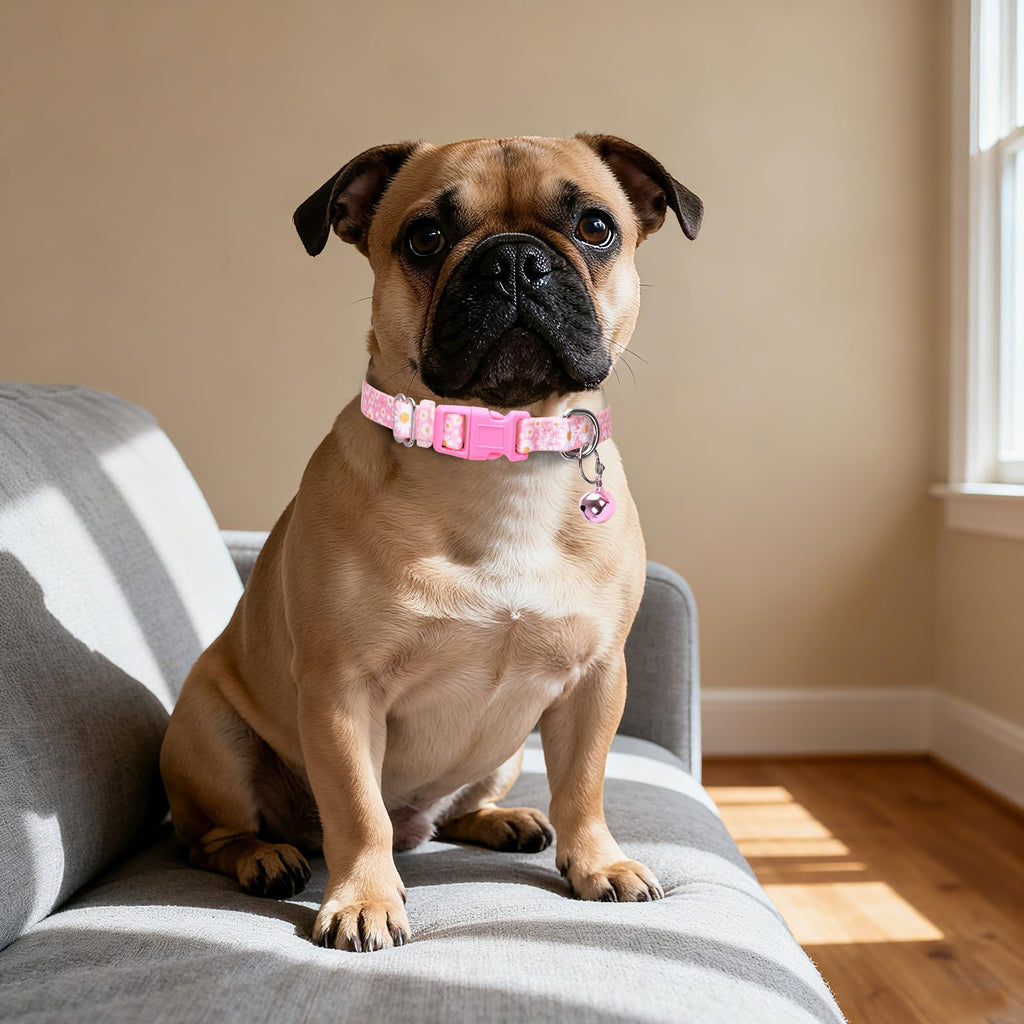 Pink Daisy Dog Collar with Bell,XS XXS Kitten Collars Girls with Buckle