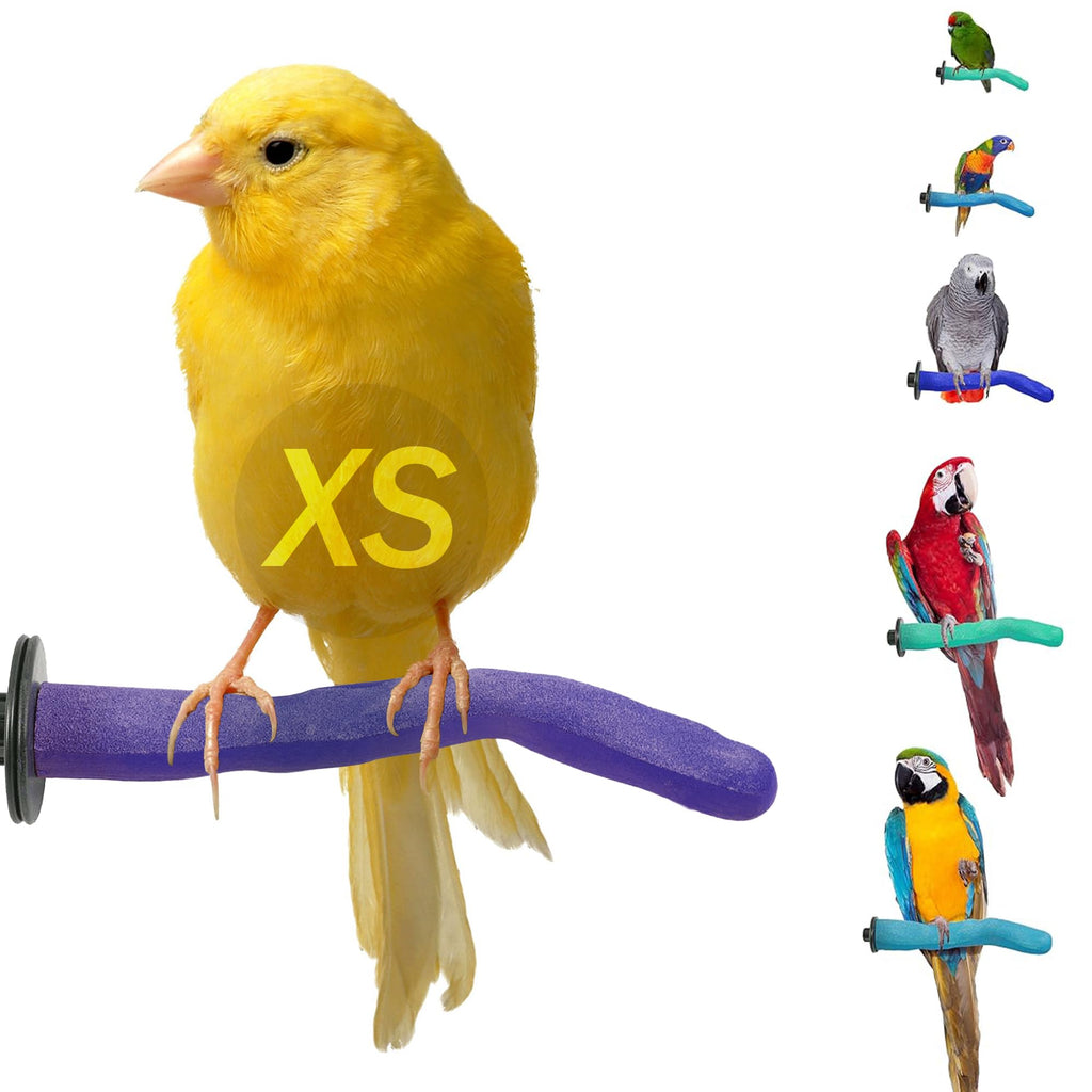 Sweet Feet and Beak Safety Pumice Bird Perch, X-Small Pedicure Perch, Purple