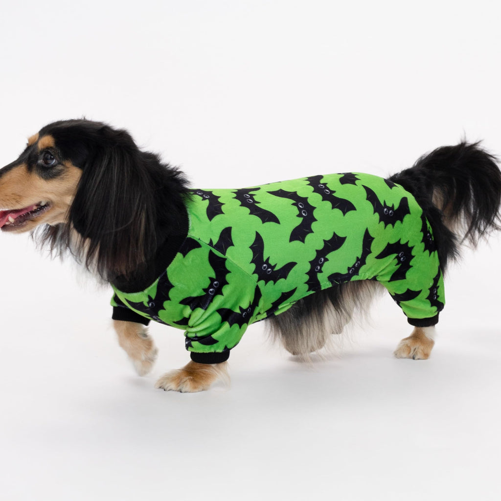 Fitwarm Halloween Bat Dog Pajamas, Funny Costumes for Small Dogs Boy Girl, Pet Outfit, Lime Green, Black, XXL