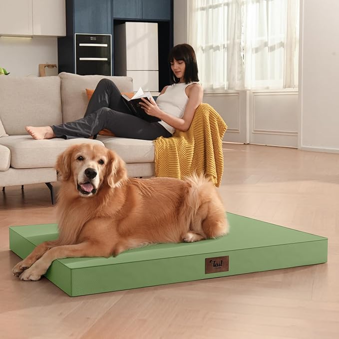 Outdoor Orthopedic Dog Bed for Medium Dogs & Cats, Waterproof Flat Pet Mat with Egg Crate Foam & Washable Removable Oxford Cover, 30x20 Inch, Light Green