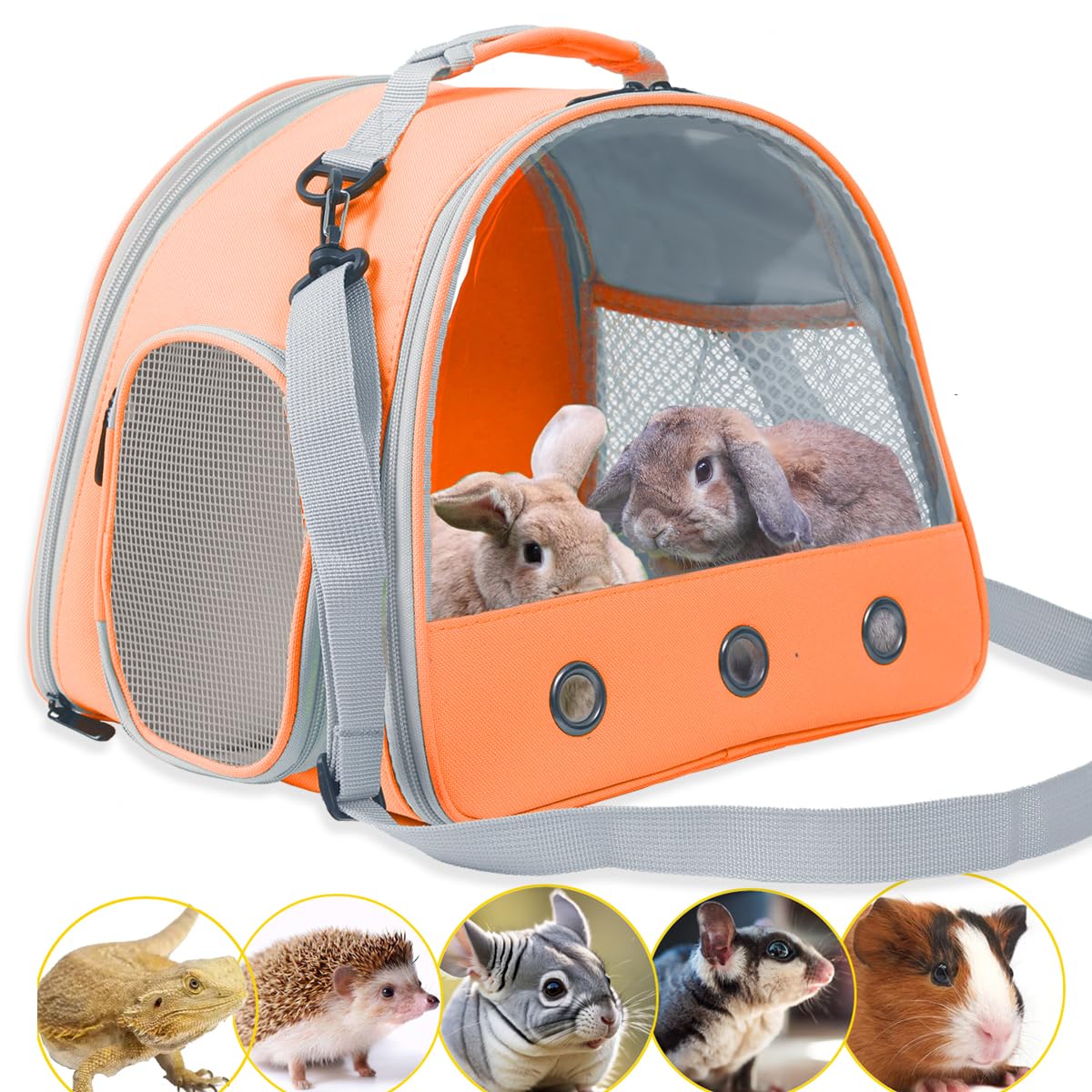 Guinea Pig Carrier,Guinea Pig Carrier for 2,Ventilation Carrier for Bearded Dragon,Reptile Travel Carrier for Lizards Sugar Glider Hedgehog Rat Parrot Birds,Airline Approved Green