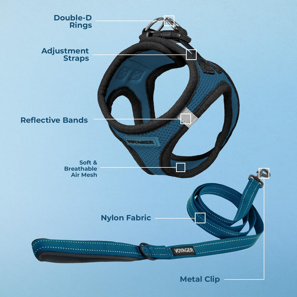 Best Pet Supplies Voyager Step-in Air All Weather Mesh Harness and Reflective Dog 5ft Leash Combo with Neoprene Handle, for Small, Medium and Large Breed Puppies - Blue/Black Trim, Medium