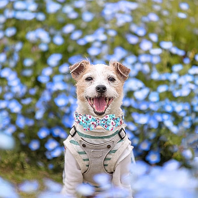 Elegant little tail Dog Collar, Rose Print Pet Collar Summer Dog Collar Durable Metal Buckle Dog Collars Cotton Pet Adjustable Dog Collars for X-Large Dogs, A: Blue Flower