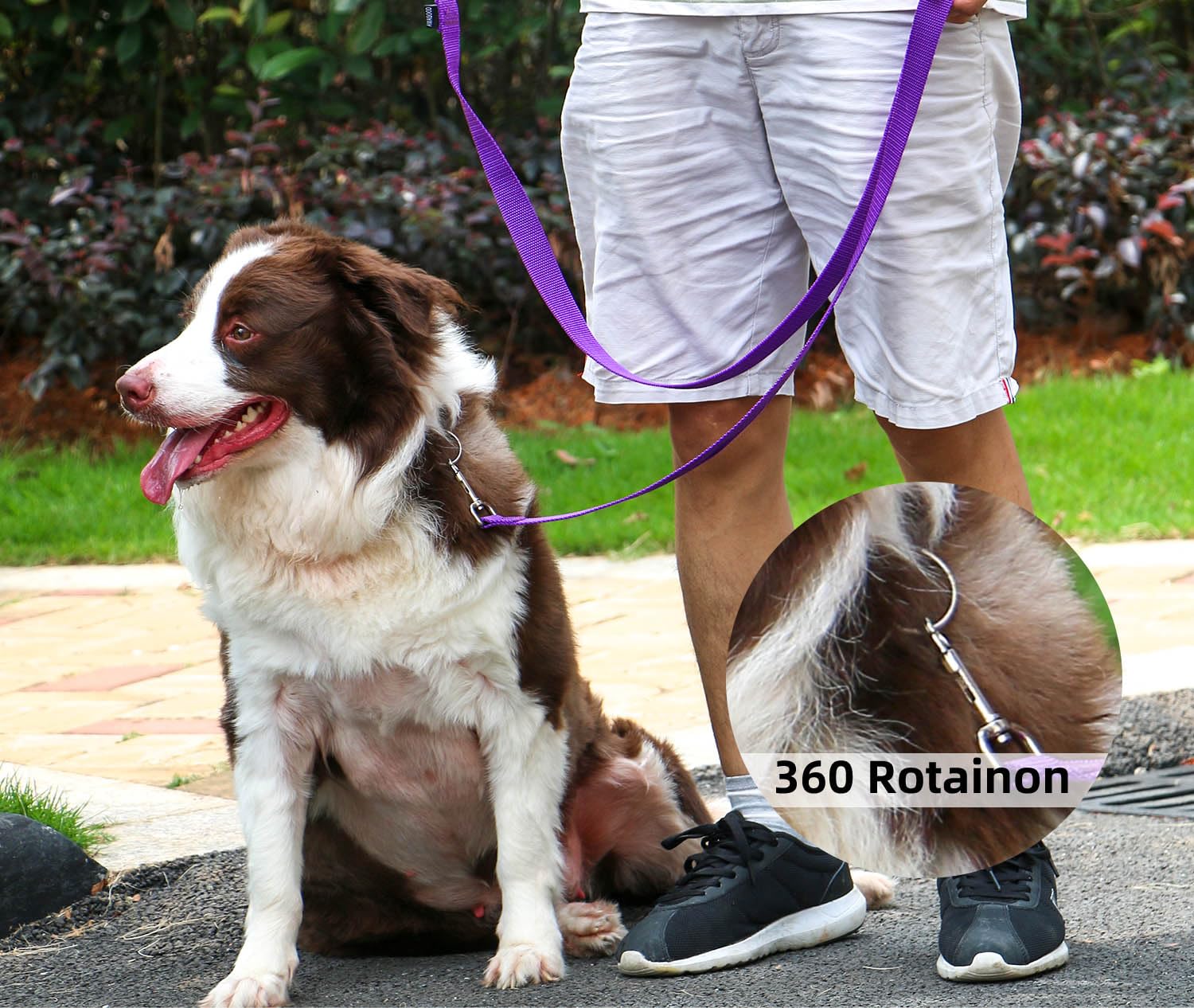 AMAGOOD Dog/Puppy Obedience Recall Training Agility Lead-15 ft 20 ft 30 ft 50 ft Long Leash-for Dog Training,Tie Out,Play,Safety,Camping (30Feet x 1Inch, Purple)