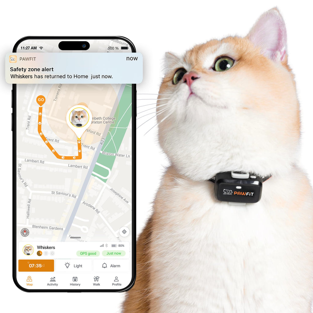 Pawfit Lite 4G GPS Cat Tracker, Live Tracking, Ultra-Light, Onyx Black