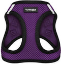 Best Pet Supplies Voyager Step-in Air Harness - All Weather Mesh, Reflective, No Pull Harness for Dogs, Cats - Secure with Hook & Loop Fastener, Buckle, Double D-Rings - Purple/Black Trim, XXS
