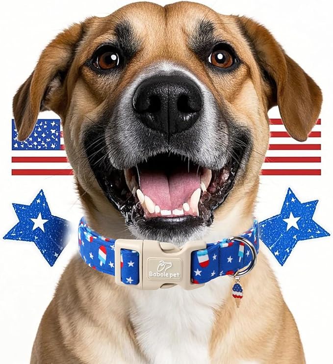 Babole Pet 4th of July Dog Collar, Summer Popsicle Patriotic Dog Collars for Giant Large Dogs, Adjustable Lightweight Quick-Release Buckle Collar for Boy&Girl Dogs XL