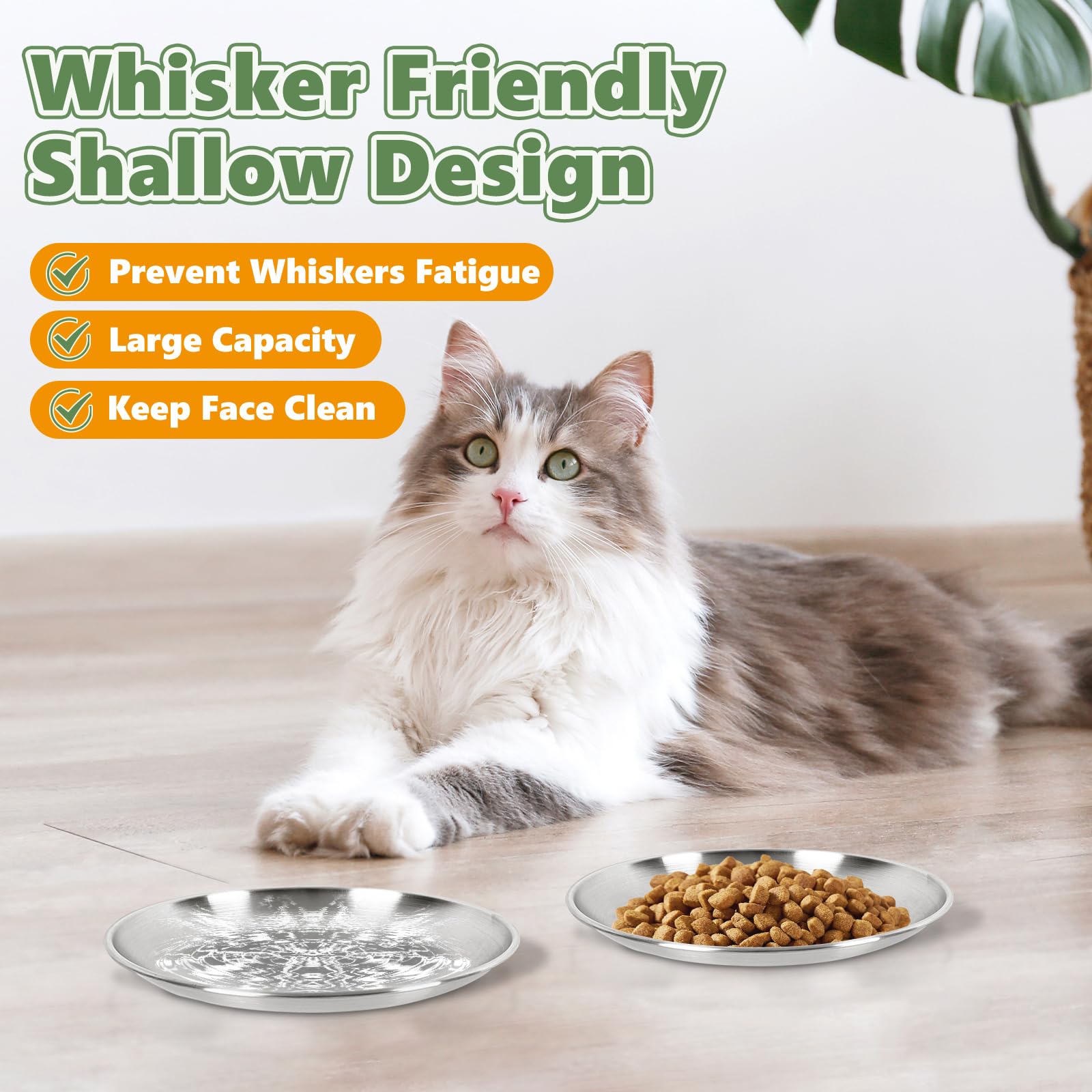 Petdream 8-Pack Stainless Steel Cat Food Bowls, Shallow Whisker-Friendly Non-Slip Silicone Base Metal Dishes, Easy to Clean Indoor Feeding Flat Plates for Cat, Kitten, Small Dog (6.7")