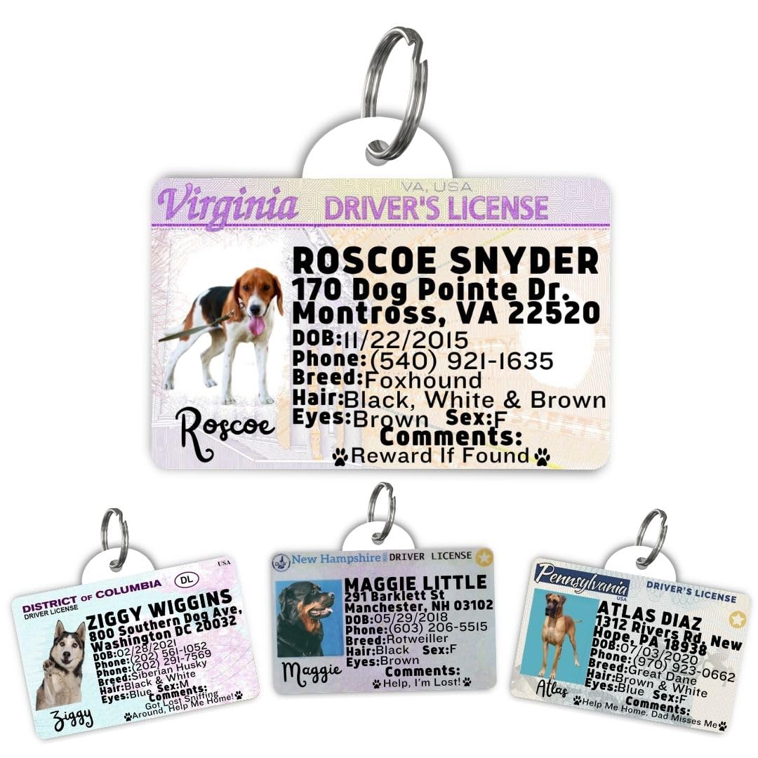 Dog Tags Personalized, Dog ID License Tag for Pets (Washington, Tag)