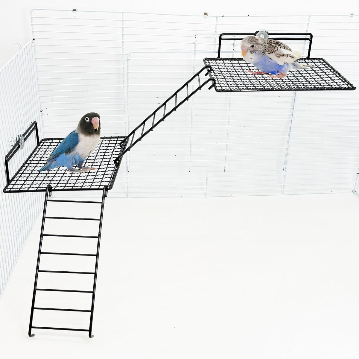 BNOSDM Stainless Steel Grid Platform for Parakeet 4 PCS Bird Perches Platform Parrot Stand with Climbing Ladder Bird Cage Accessories for Small to Large Birds (L)