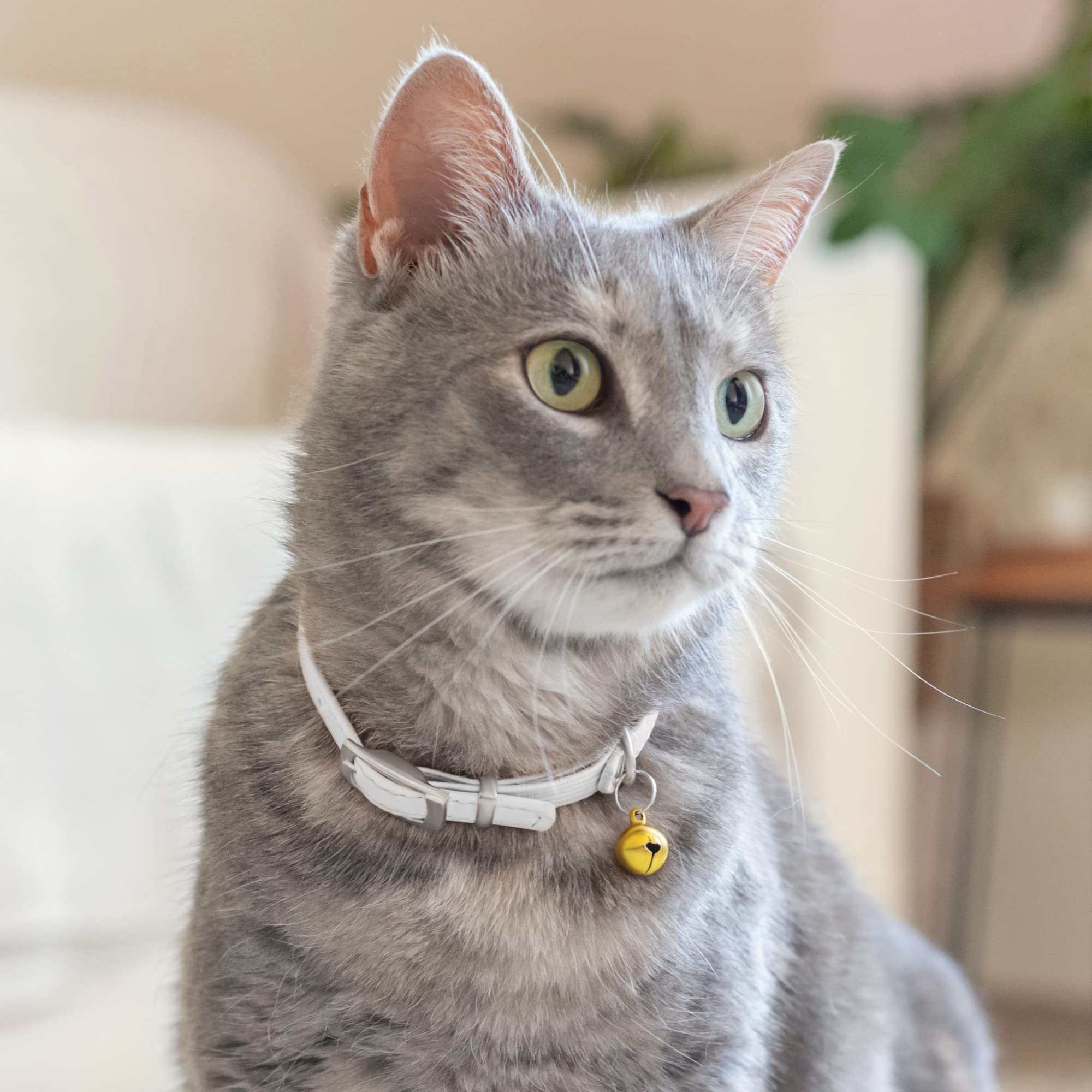 Soft Leather Cat Collar with Safety Elastic Strap - White