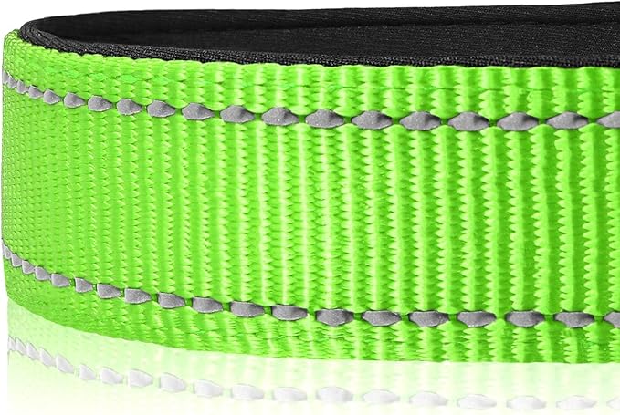 Joytale Reflective Dog Collar, Adjustable Neoprene Padded, Green S