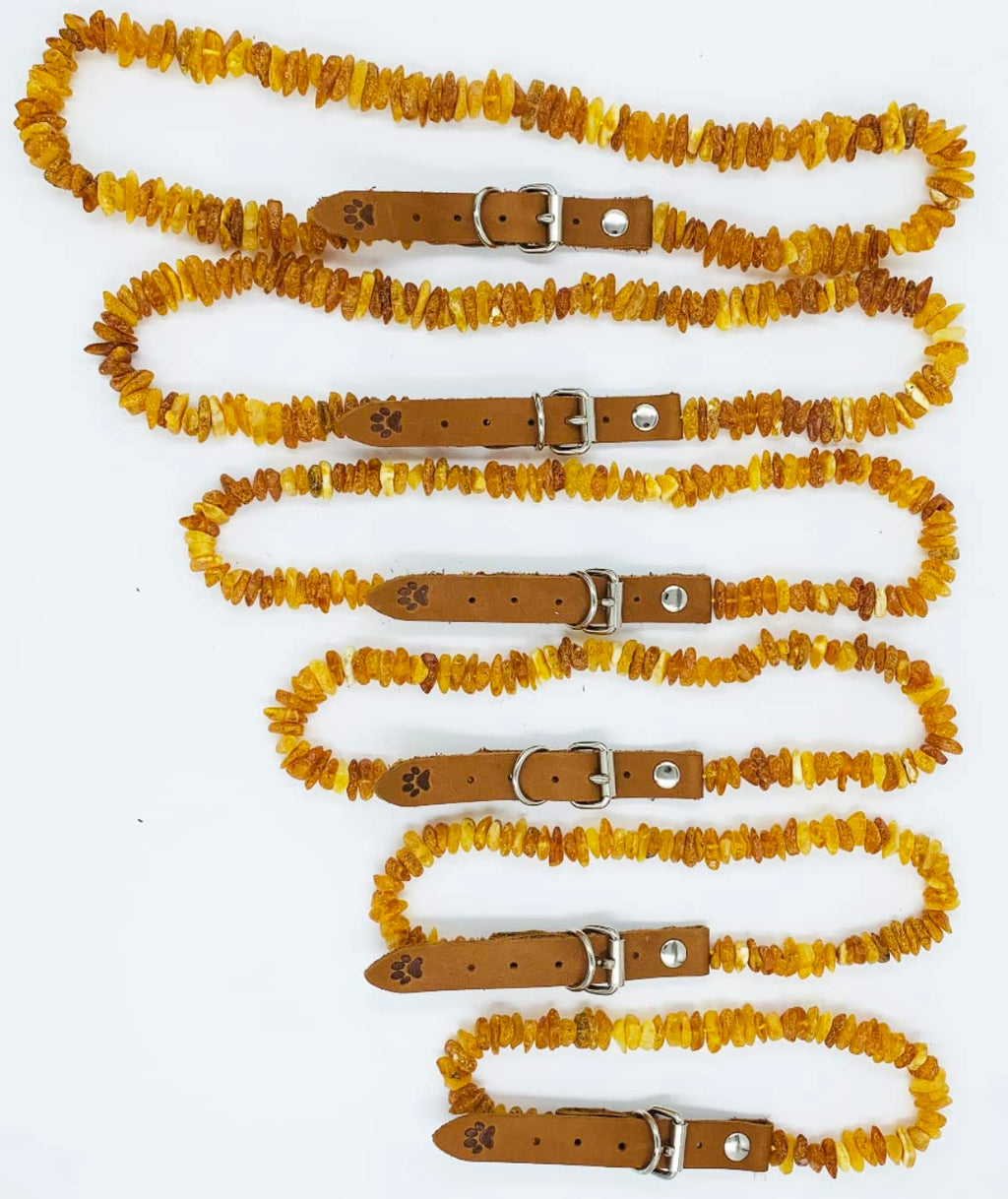 Baltic Amber Dog & Cat Collar with Adjustable Leather Strap - Raw Knotted Amber Beads (40-45cm)
