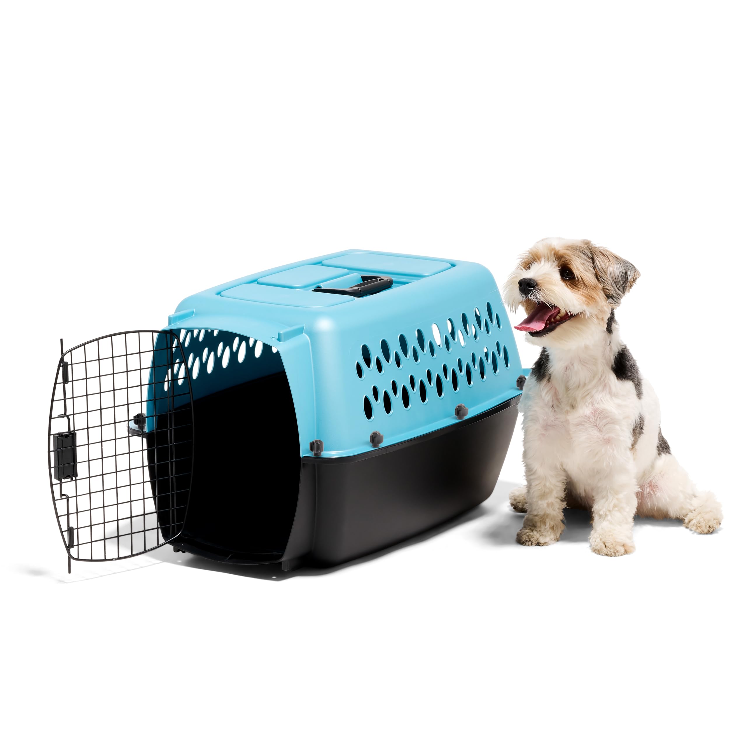 Petmate Fashion Vari Dog Kennel - Portable Crate for Pets 10-20 lbs - Airline-Friendly Pet Carrier - Durable Plastic Shell - For Home and Travel - Made in USA - 24 Inches - Light Blue