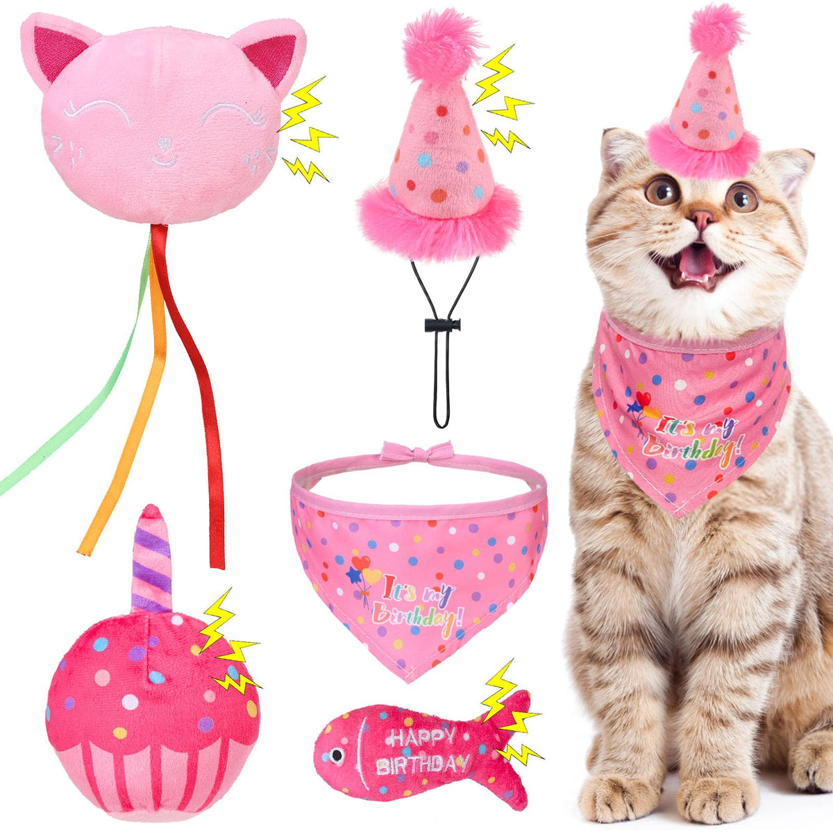 BINGPET Cat Birthday Decorations Outfit, 5 Pcs Catnip Toys for Indoor Cats