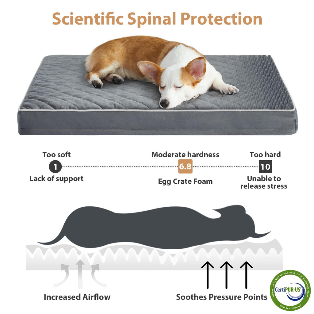 WNPETHOME Orthopedic Waterproof Dog Bed Medium for Comfy Sleeping