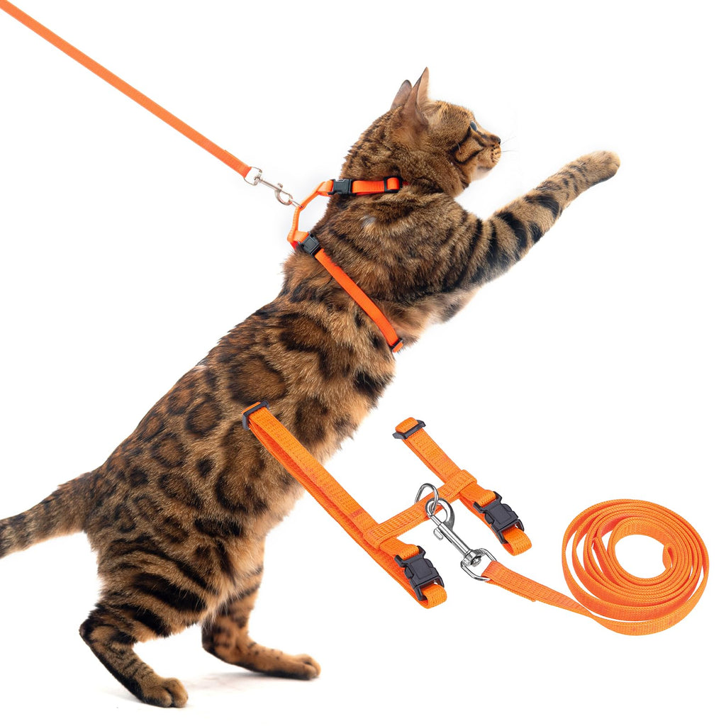 PUPTECK Adjustable Cat Harness and Leash Set Escape Proof Kitten Strap Collar for Walking Travel, Orange, M