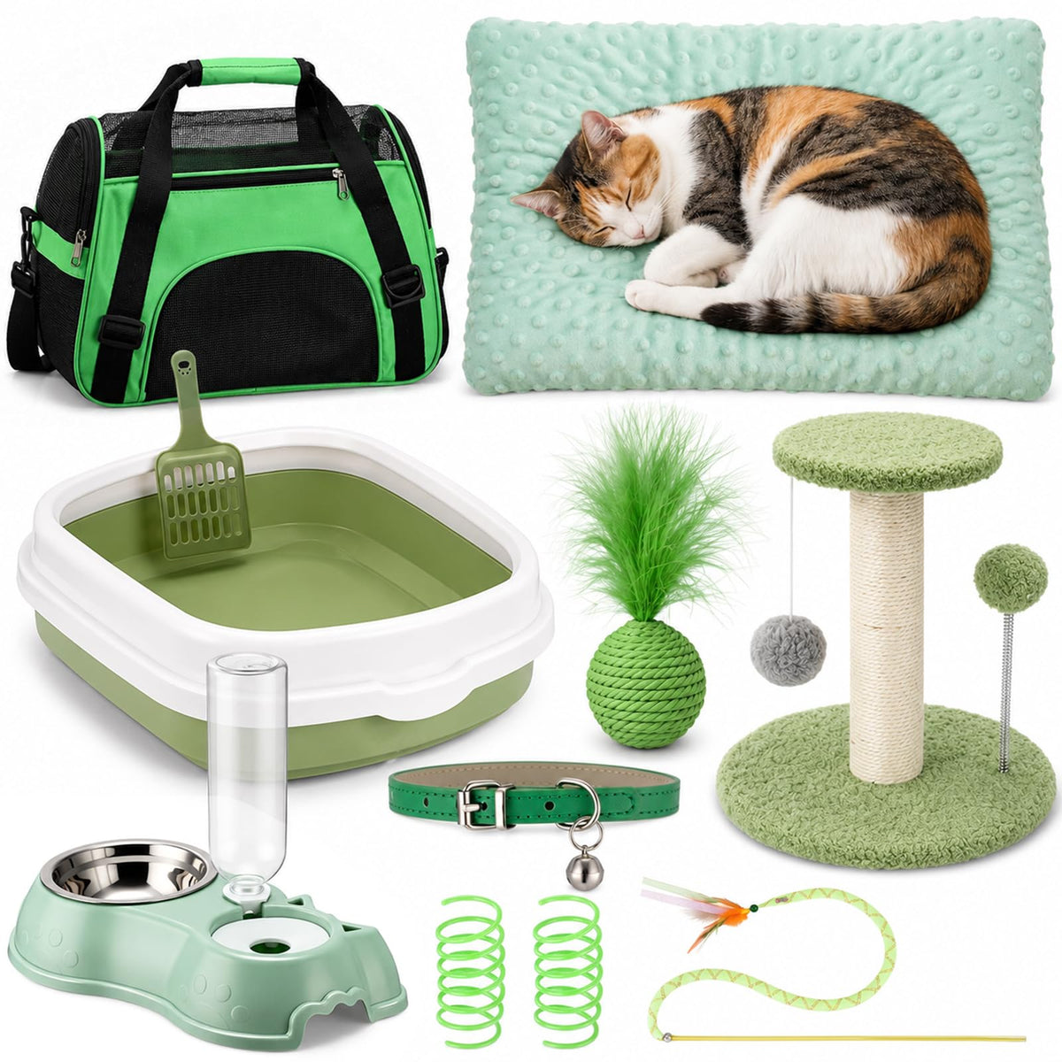 Eccliy 10 Pcs Kitten Starter Kit for Indoor, Classic, Medium, Blue