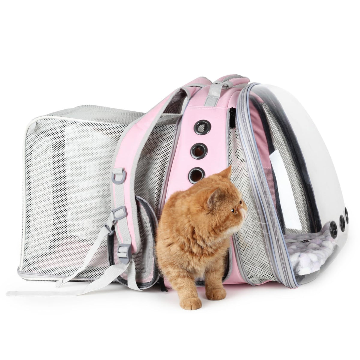 Lollimeow Expandable Bubble Cat Carrier Backpack, Supports up to 16 lbs