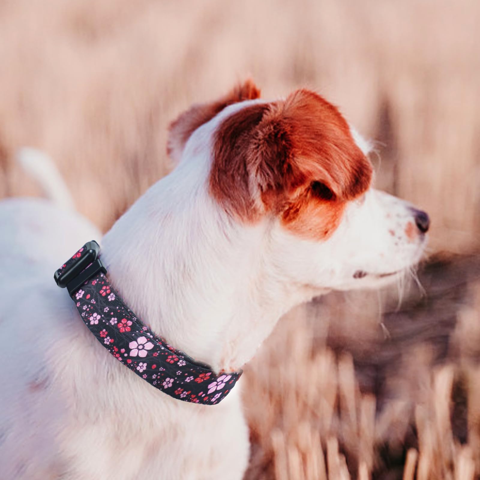 QQPETS Adjustable Soft Dog Collar: Print Flower Pink Multicolor Cute Patterns for XS Small Medium Large Pet Girl Boy Puppy Walking Running Training