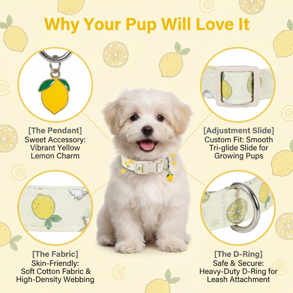 Britwicfr Dog Collar, Spring Summer Dog Collar with Yellow Lemon and Cute Charm, Pet Collar with Quick Release Buckle and Durable Fabric, Suitable for Small Dogs