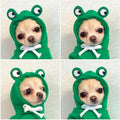 Maruomiki Warm Dog Winter Clothes Cute Dog Coat Hoodie, Green, XXL