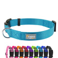 PenSeepet Basic Dog Collar, Adjustable Nylon for Medium Dogs, Green