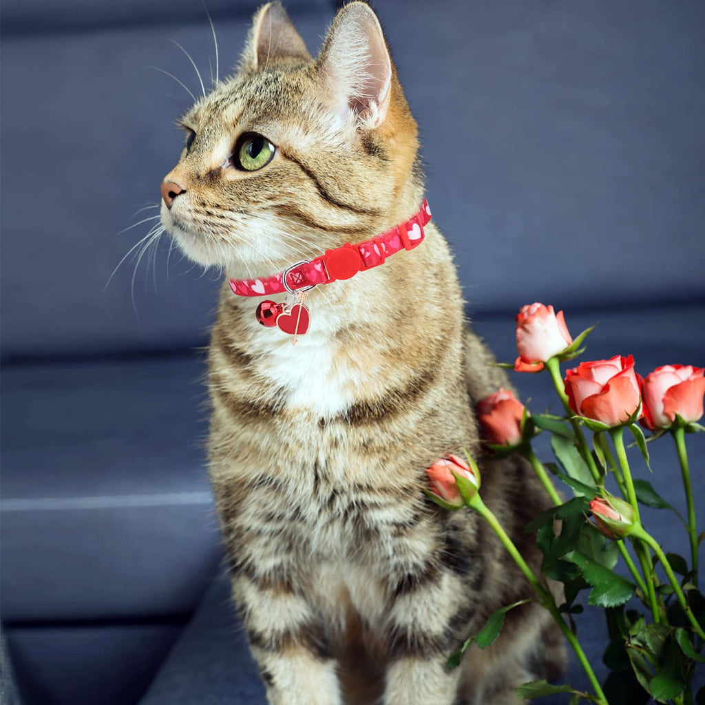 VKPETFR Breakaway Cat Collars with Bell & Cute Pendants, 3 Pack Safety Buckle Kitten Collars, Adjustable Pet Collar Ideal for Girl Boy Cats Puppy (Love Heart)