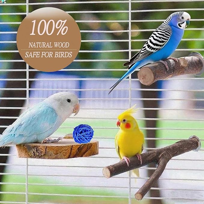 8 PCS Natural Wood Bird Perches Stand for Cage, 5 PCS Parrot Rattan Balls, Wooden Hanging Multi-Branch Perches Platform, Hammock Swing Toy for Parakeets, Budgies, Cockatiels, Conures, Macaws (13 PCS)