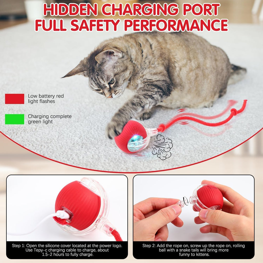 blueypet Upgrade Interactive Rolling Cats Toys Ball for Indoor