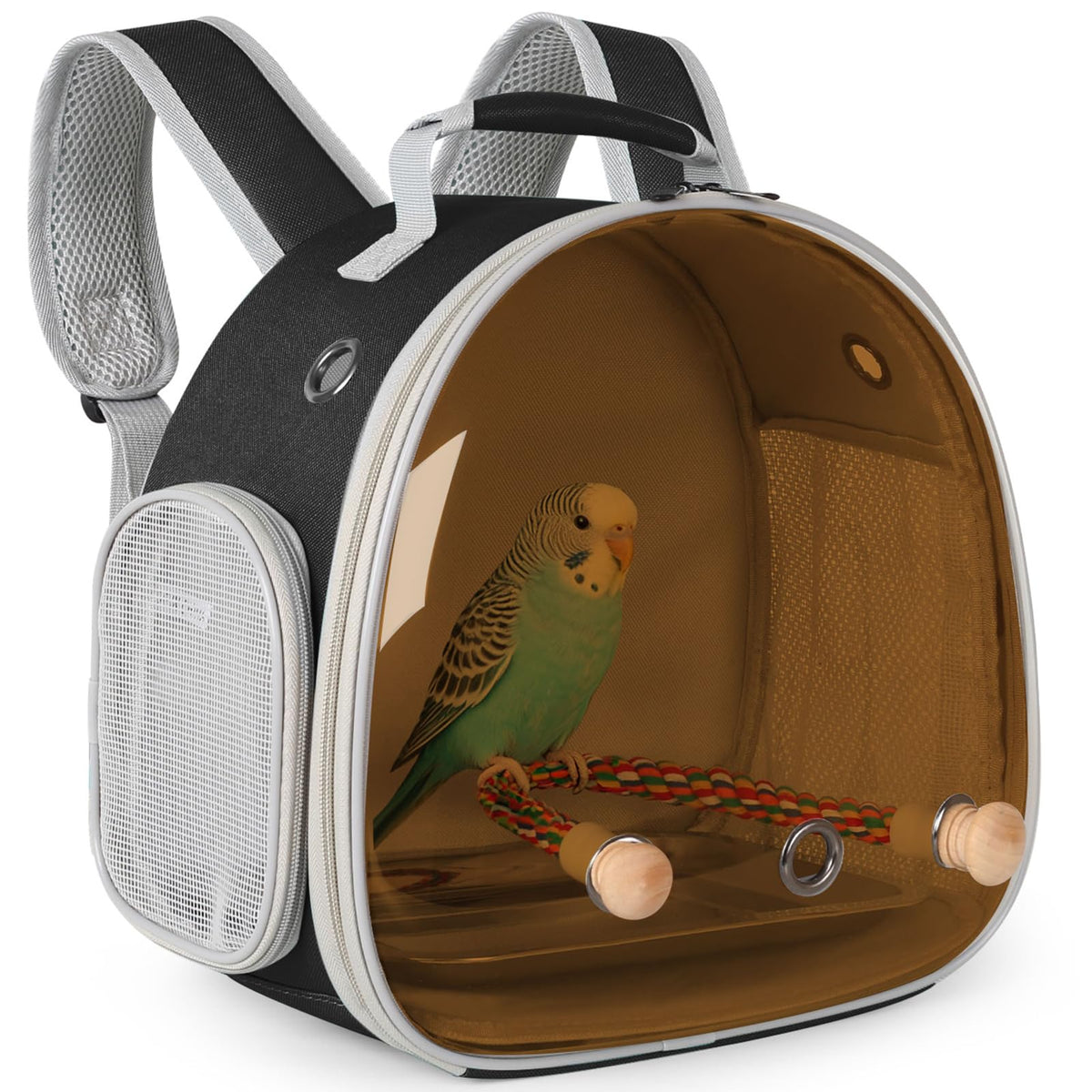 Small Bird Travel Backpack Carrier Cage, Backpack to Transport Backpack Carrier with Clamp Cups Stand Perch for Parakeet Cockatiel Budgies Vet Carry Book Bag Green
