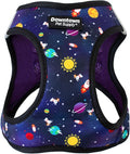 Downtown Pet Supply Step-in Dog Harness – No Pull, Adjustable Padded Mesh with Reflective Trim, Secure Buckle Strap – Comfortable & Breathable Small Dog Harness, Large, Space