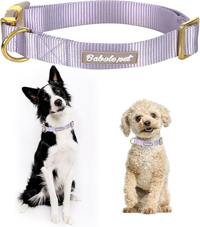 Nylon Dog Collar - Adjustable Lavender Soft Webbing Dog Collars for Small Medium Large Dogs Boy Girl Puppy Collar with Safety Metal Buckle L