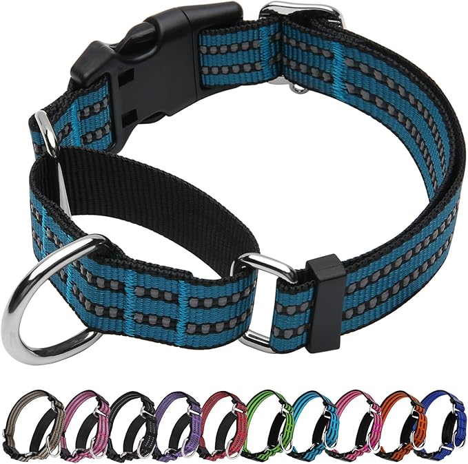 JOYEEIIOO Martingale Dog Collar, Adjustable Nylon Reflective Collar with Quick Release Buckle, No Pull Dog Training Collars for Small Medium Large Dogs (Gentian Blue, Medium)