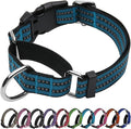 JOYEEIIOO Martingale Dog Collar, Adjustable Nylon Reflective Collar with Quick Release Buckle, No Pull Dog Training Collars for Small Medium Large Dogs (Gentian Blue, Medium)