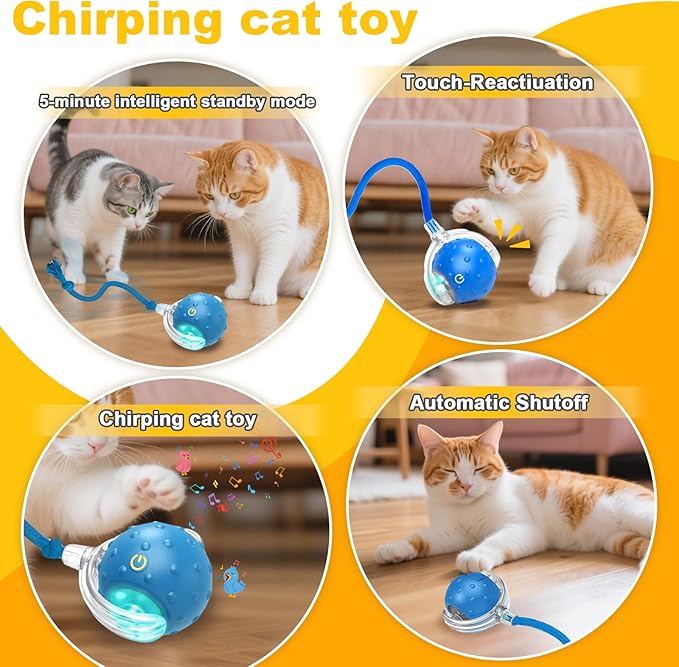 Interactive Cat Toys Ball for indoor Cats＆Dog,Automatic Cat Toy with Smart Obstacle Avoidance,Bird Chirps & Auto Wake-Up,Includes 4 Cat Spiral Spring,Cat Enrichment Toys for Indoor Cats(Blue)