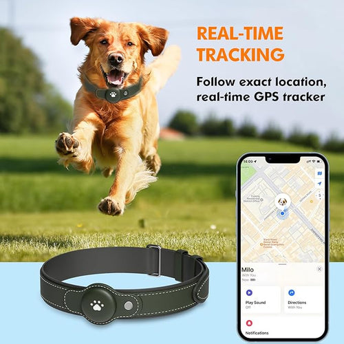 2-in-1 GPS Tracker for Dogs: Smar