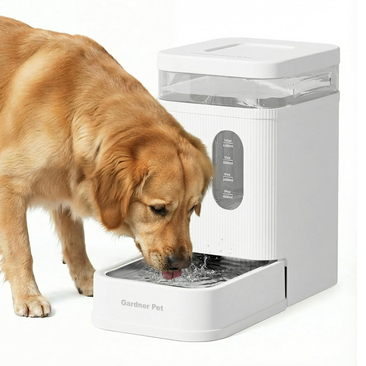 1.7 Gallon Automatic Dog Water Dispenser with Stainless Steel Bowl