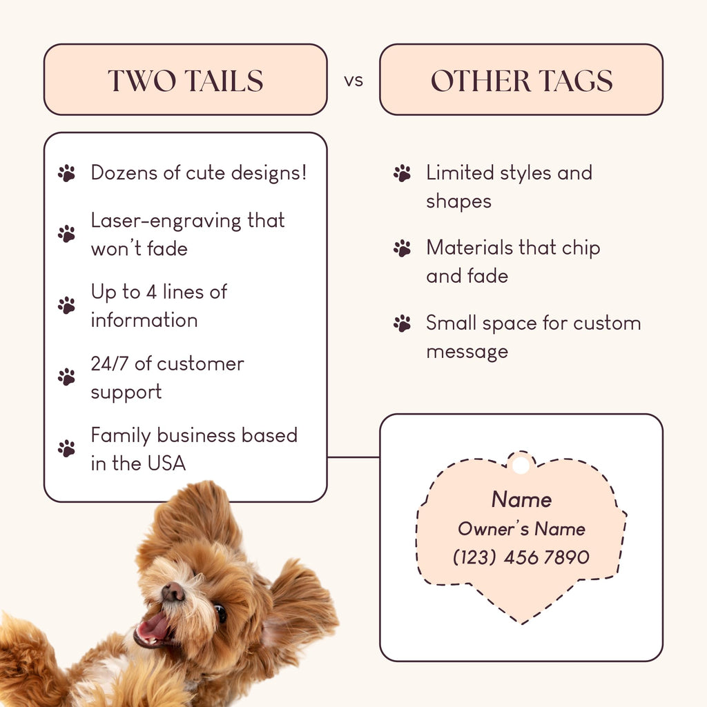 Two Tails Mama's Boy Personalized Dog ID Tag, Engraved, Silver Plating