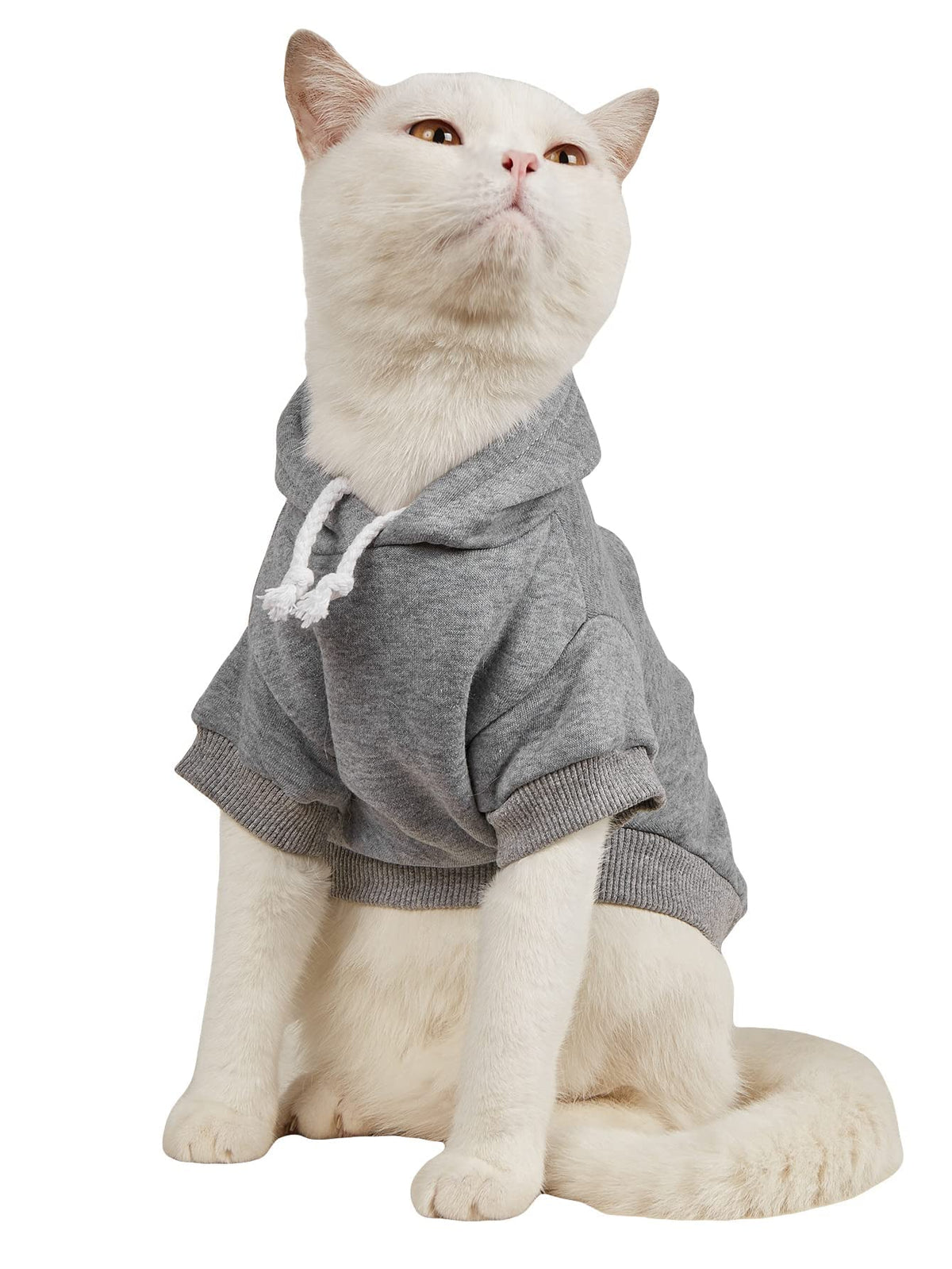 QWINEE Basic Dog Hoodie Sweatshirt Puppy Sweater Warm Cat Costumes Pet Clothes for Chihuahua Puppy Kitten Small Medium Dogs Yellow X-Small