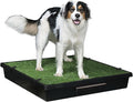 PetSafe Pet Loo Portable Dog Potty, Large