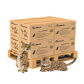 PetsWorld Universal Fit Multi-Cat Pad Refills for Litter Box, Fresh Scented, Ultra-Absorbent, Odor Control, Pack of 800