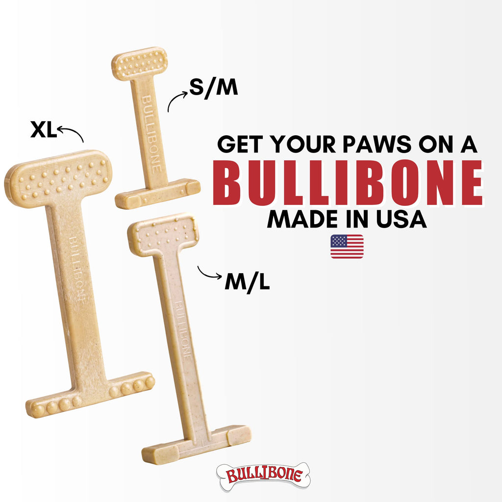 Bullibone Nylon Dog Chew Toy for Aggressive Chewers - Dental Hygiene Bone with Peanut Butter Flavor, Durable Tough Chew Toys for Large Dogs, Indestructible Dog Bone - Single