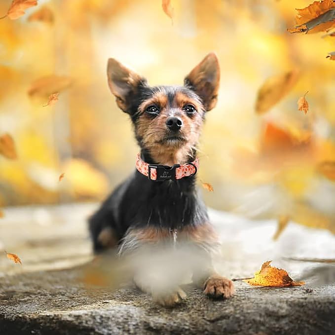 Babole Pet Fall Dog Collar, Cute Football Pattern Puppy Collar, Orange Adjustable Cotton Holiday Tanksgiving Dog Collars for Small Medium Large Boy&Girl Dogs L