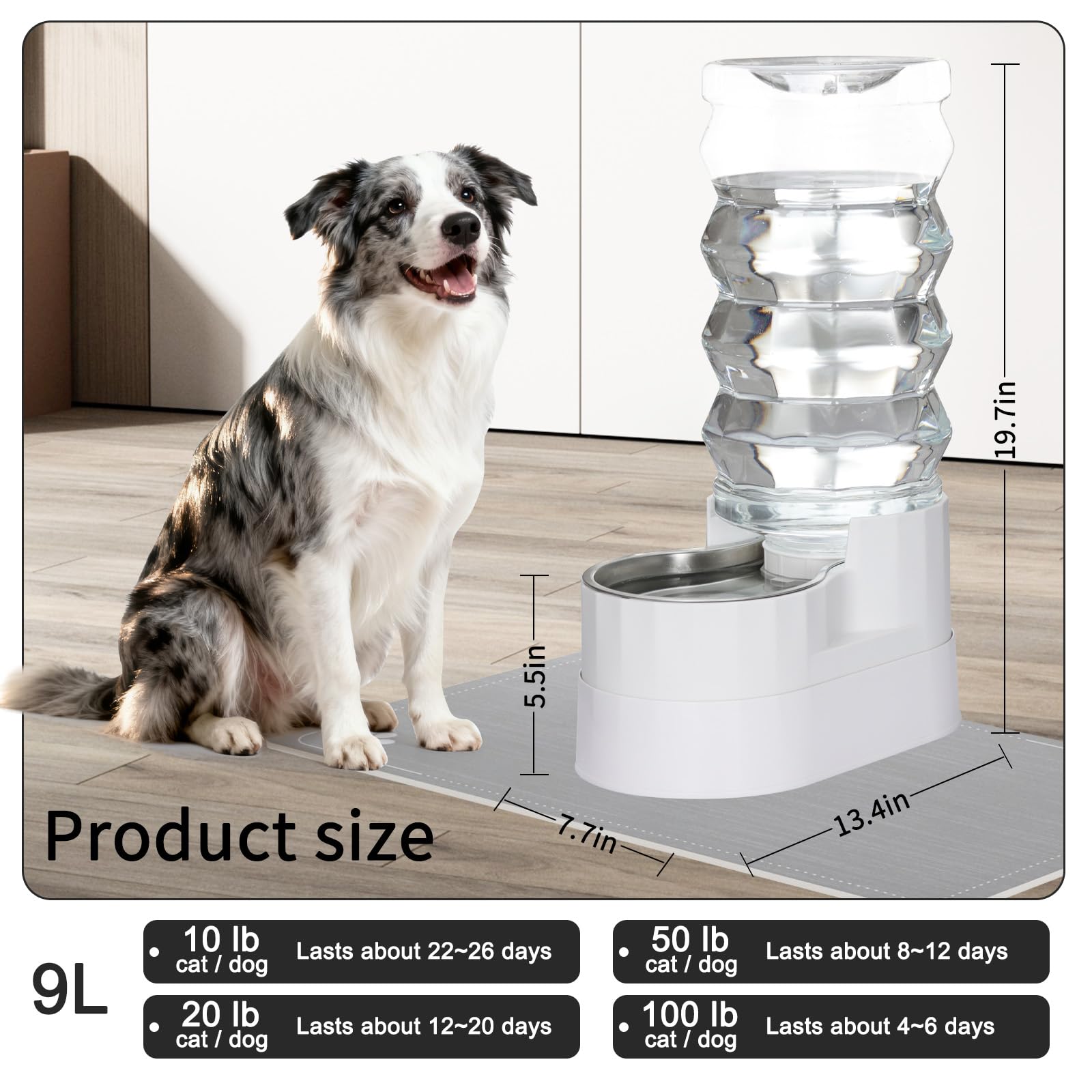 RIZZARI 9L Elevated Dog Water Dispenser: Large Capacity Wide Mouth