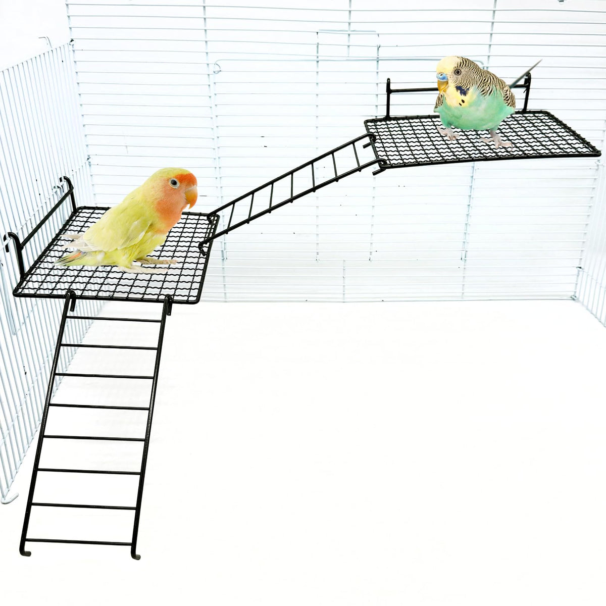 BNOSDM Stainless Steel Grid Platform for Parakeet 4 PCS Bird Perches Platform Parrot Stand with Climbing Ladder Bird Cage Accessories for Small to Large Birds (L)