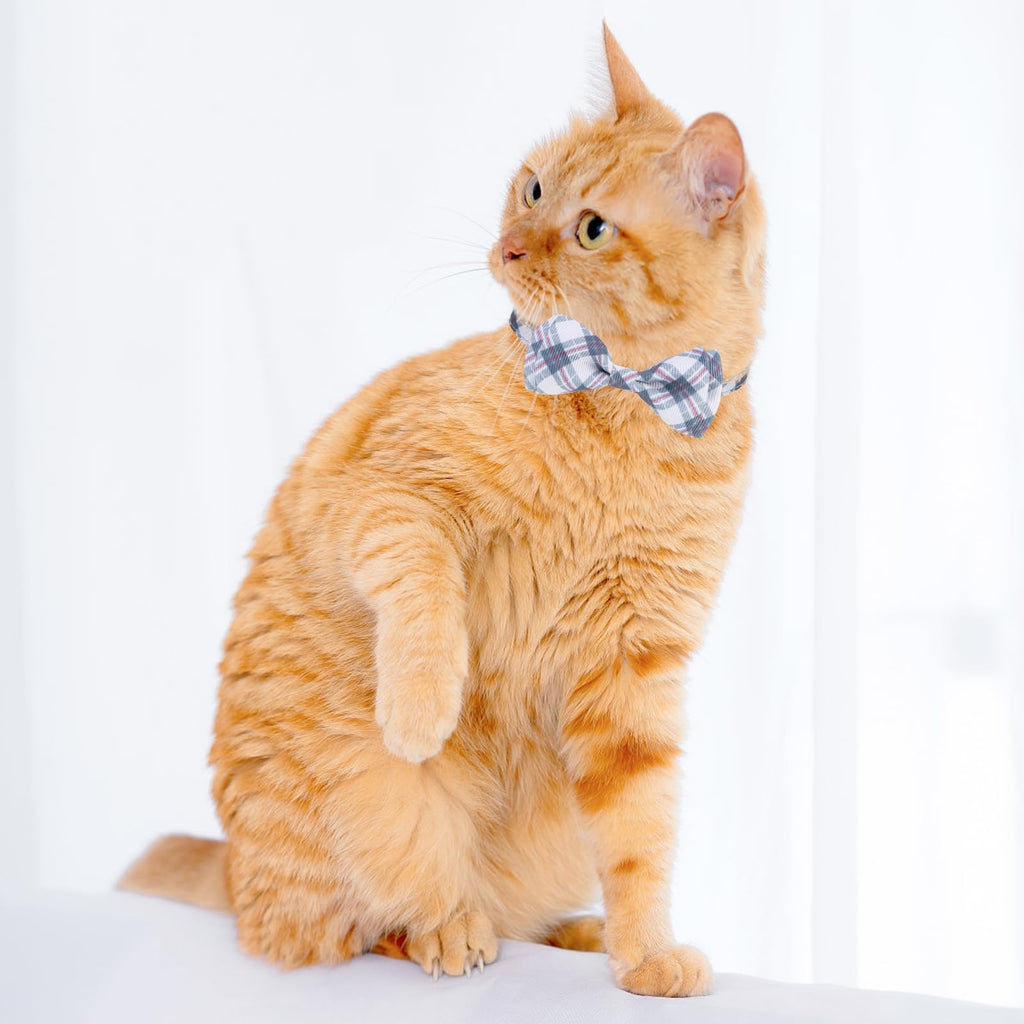 VKPETFR Breakaway Cat Collar with Removable Bow Tie and Bell, Cute Multi-Style Patterns, 3 Pack Safety Buckle Kitten Collars, Adjustable Pet Collar for Boy Cats Puppy (Gray)