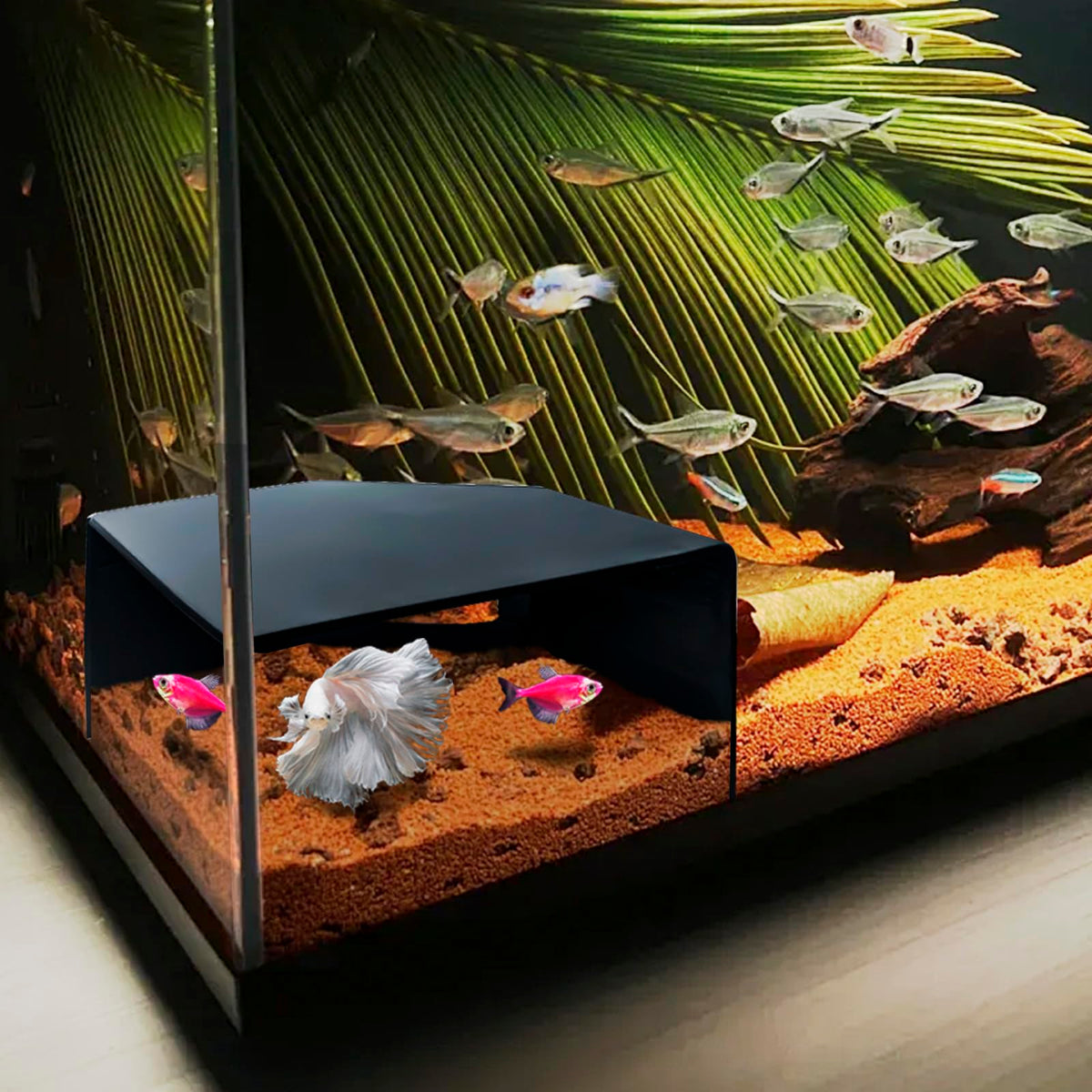 Shrimp Cave for Aquarium Tanks – Durable Fish Tank Decor, Natural Hideout for Ghost Shrimp, Fry, and Nano Fish (Easy to Clean)