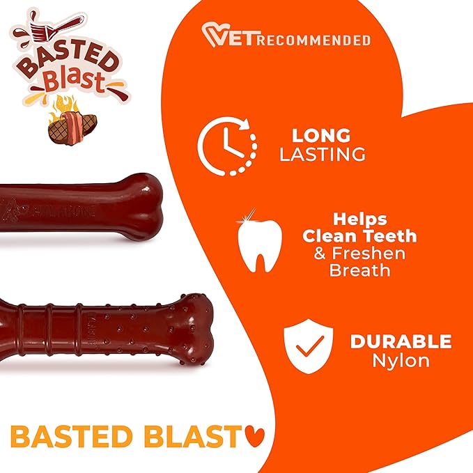 Nylabone Power Chew Basted Blast Dog Chew Toys, X-Small, 2 Count